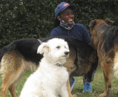 gabriel-gitau-dog-grooming-home-service-kenya-with-three-dogs