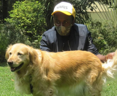 gabriel-gitau-dog-grooming-home-service-with-golden-retriever