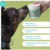 Calming Supplements for Dogs 6