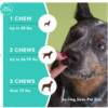 Calming Supplements for Dogs 8