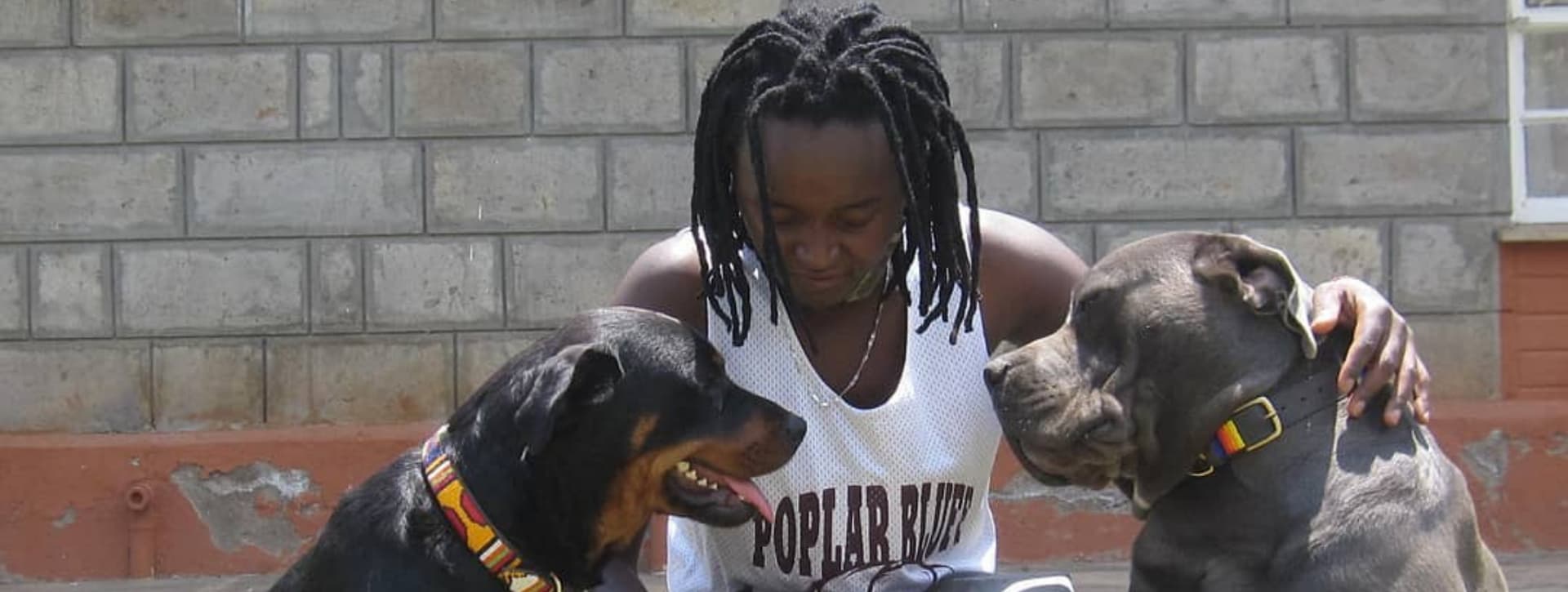 Top Dog Groomers in Kenya Mobile Dog Grooming Service