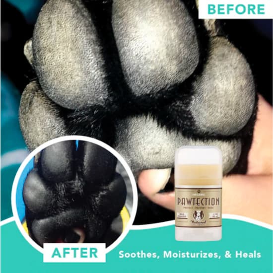 Paw Protection For Dogs 5