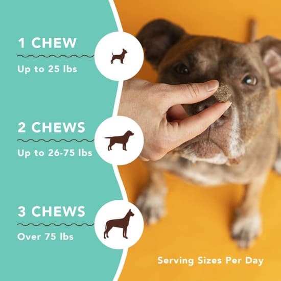 Skin and Coat Supplements For Dogs 7