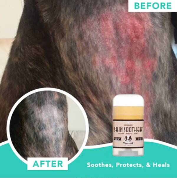 Skin Soother For Dogs 5