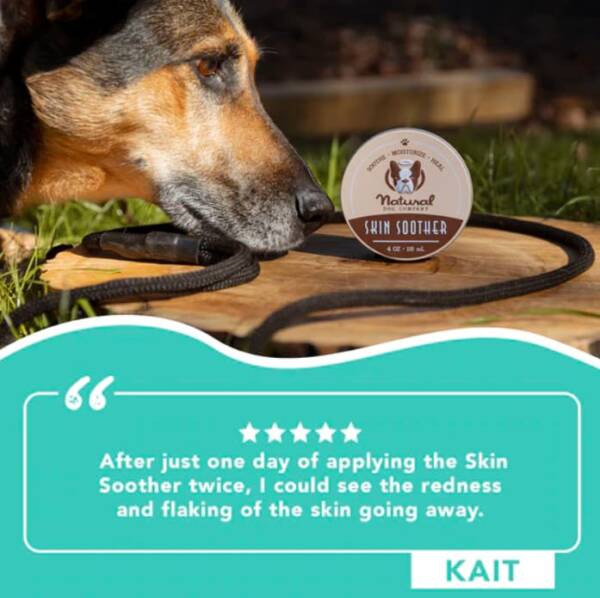 Skin Soother For Dogs 6