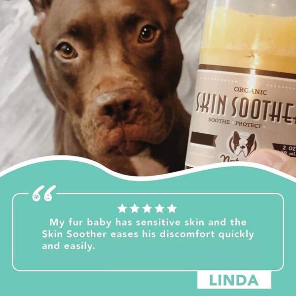 Skin Soother For Dogs 7