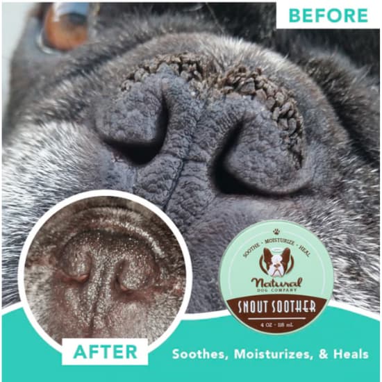 Snout Soother For Dogs 6