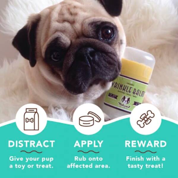 Wrinkle Balm For Dogs 4